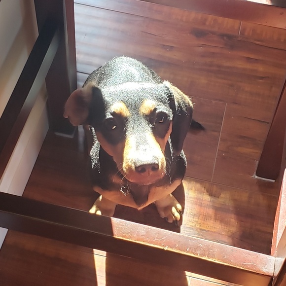 Meet your Posher, Larisa - Picture 7 of 8